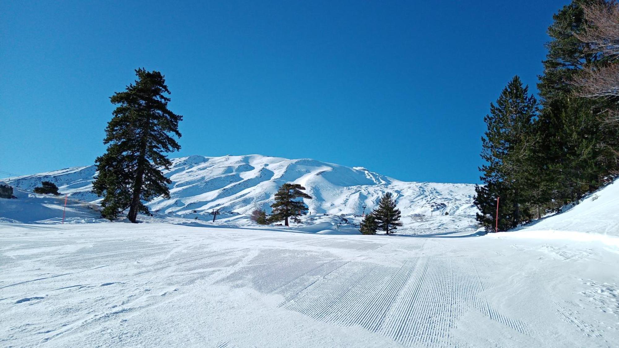 La Finestra Sull'Etna Villa Linguaglossa Eksteriør billede